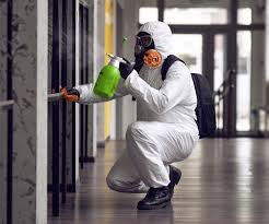 Professional Mold Prevention & Removal  in Rome, IL